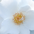 Fehér - Virágágyi polianta rózsa - Milly™
